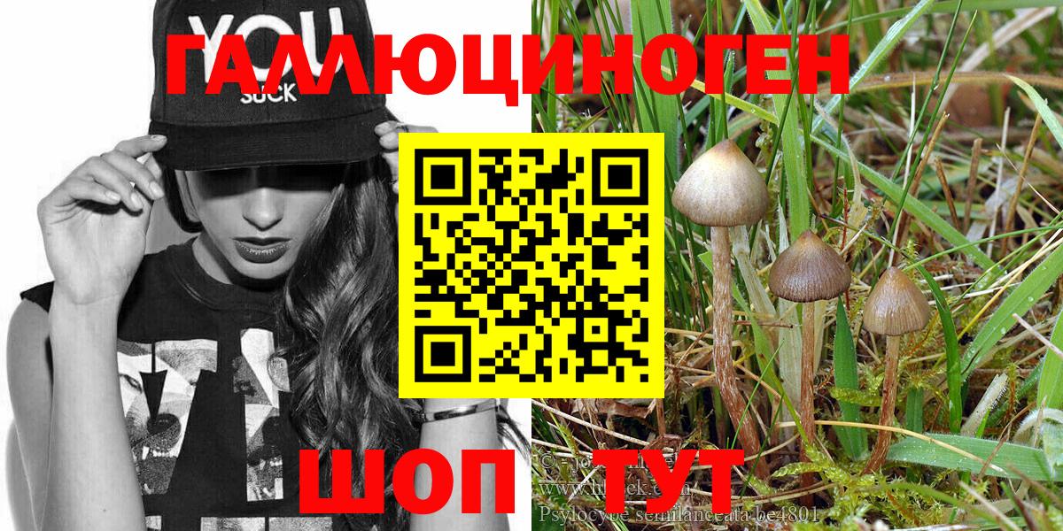 ГАШ Кудрово