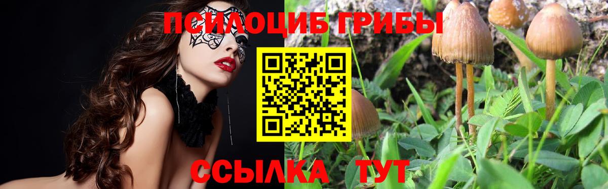 Галлюциногенные грибы GOLDEN TEACHER Кудрово